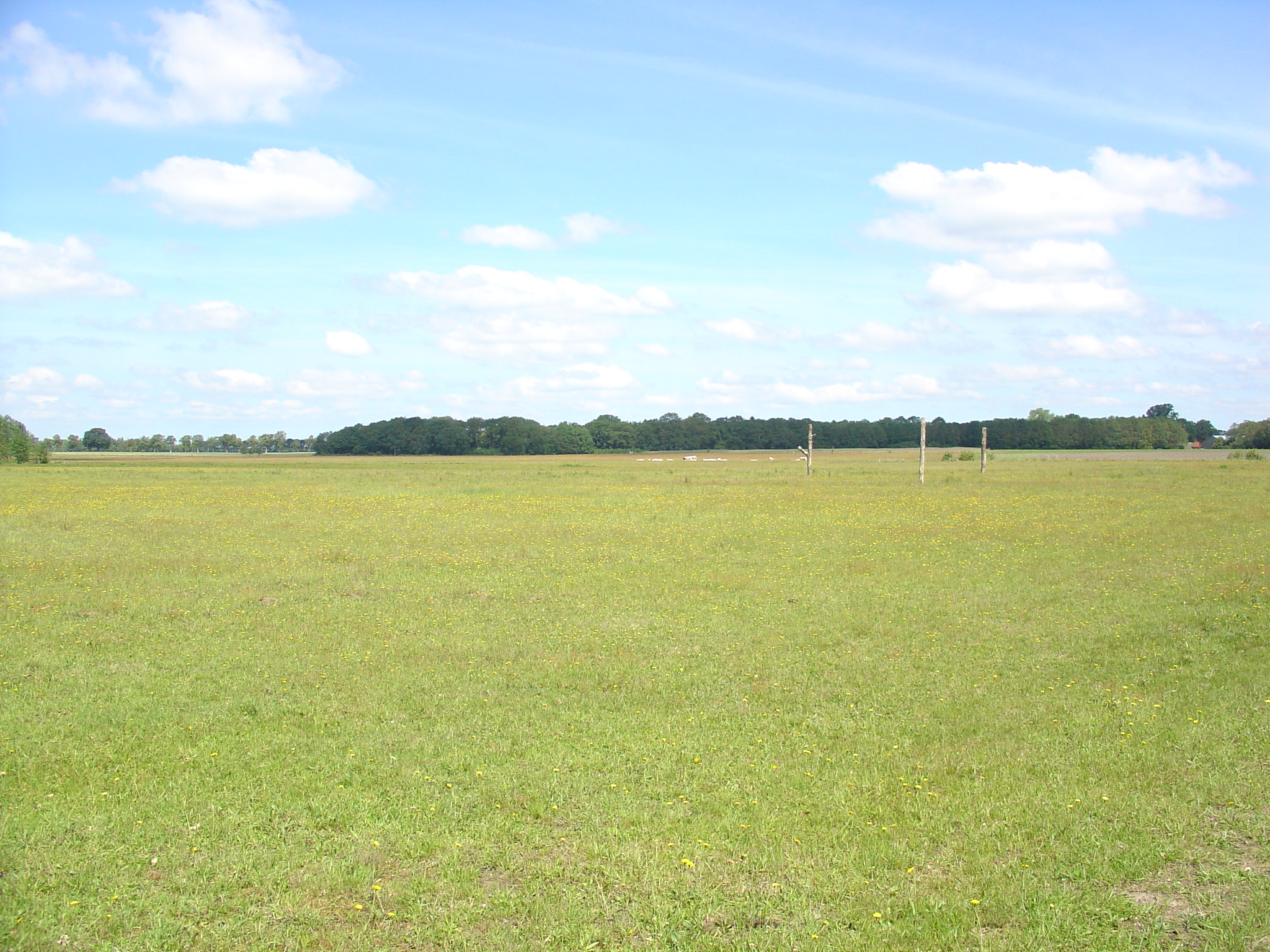 TerApel 023.jpg